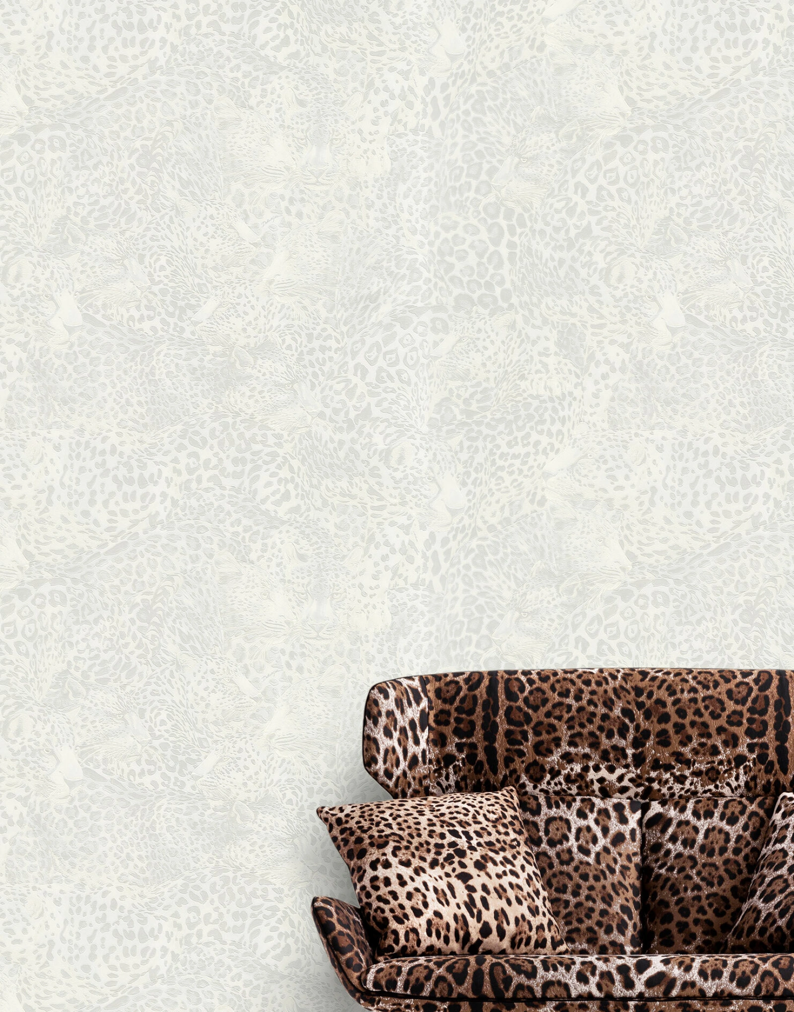 Dolce & Gabbana Casa TCW007TCAHOUL041